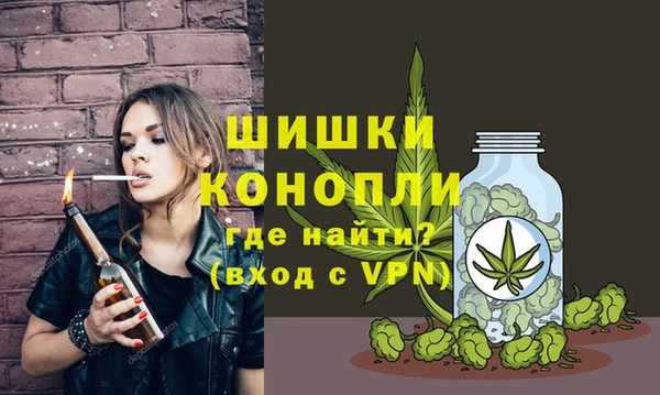 дживик Липки