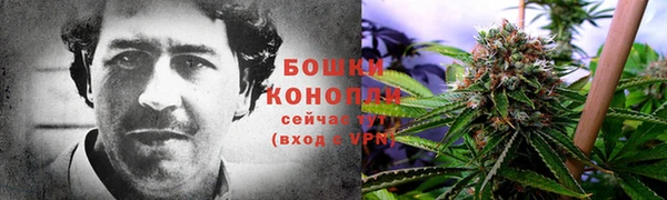дживик Липки