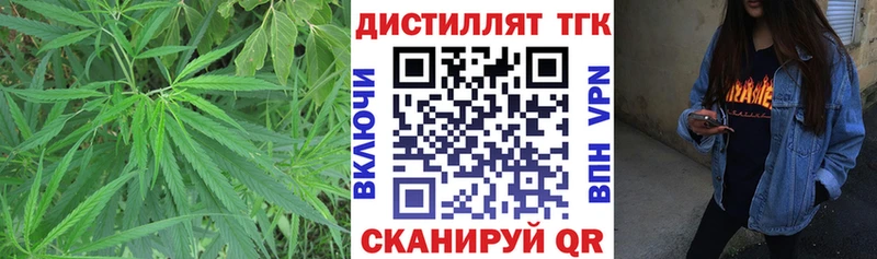ТГК концентрат  купить закладку  Бабаево 