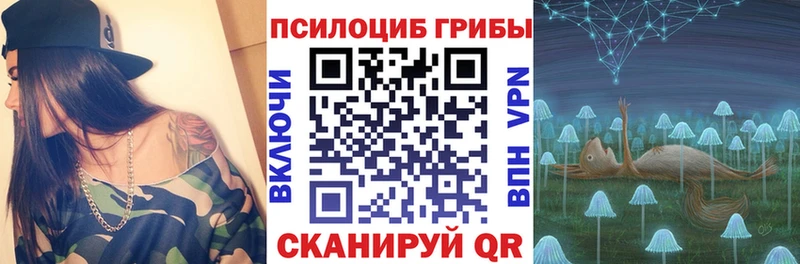 даркнет сайт Бабаево Псилоцибиновые грибы мухоморы